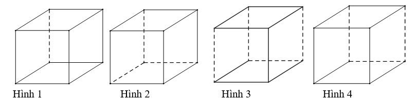 Hình minh họa câu hỏi